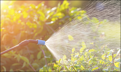 Monsanto roundup weedkiller