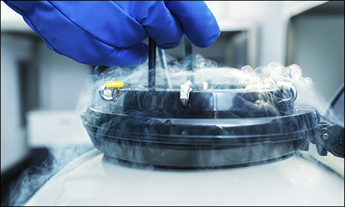 Arbitration Barred for Parent Co. in Pacific Fertility Clinic Destroyed Embryos Litigation
