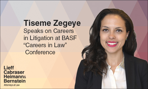 Tiseme Zegeye BASF Careers in law