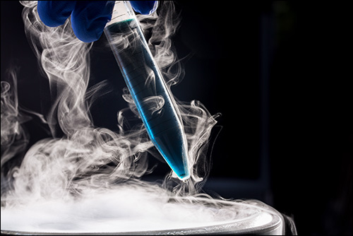 Cryogenic Preservation