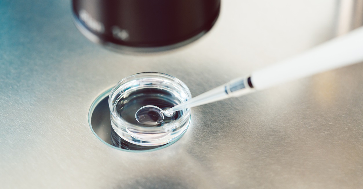 ivf