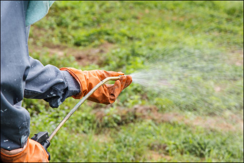 A man spraying herbicide